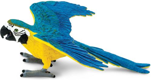 Show full view: Safari Ltd. Blue & Gold Macaw Figurine slide 2 of 6