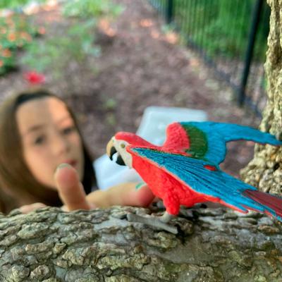 Show full view: Safari Ltd. Green-Winged Macaw Figurine slide 6 of 6