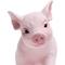 Show in main carousel: Safari Ltd. Piglet Figurine, 4 x 3-in slide 5 of 6