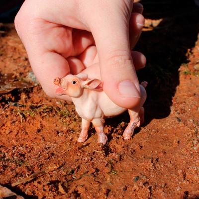 Show full view: Safari Ltd. Piglet Figurine, 2 x 1.75-in slide 6 of 6