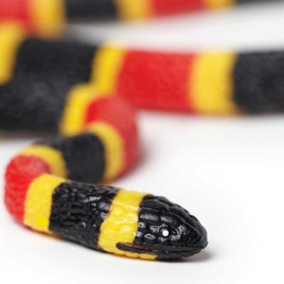 Show full view: Safari Ltd. Coral Snake Baby Figurine slide 4 of 6