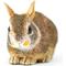 Show in main carousel: Safari Ltd. Eastern Cottontail Rabbit Baby slide 3 of 6