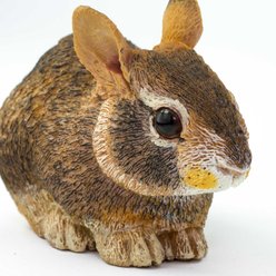 Safari Ltd. Eastern Cottontail Rabbit Baby