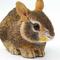 Show in main carousel: Safari Ltd. Eastern Cottontail Rabbit Baby slide 1 of 6