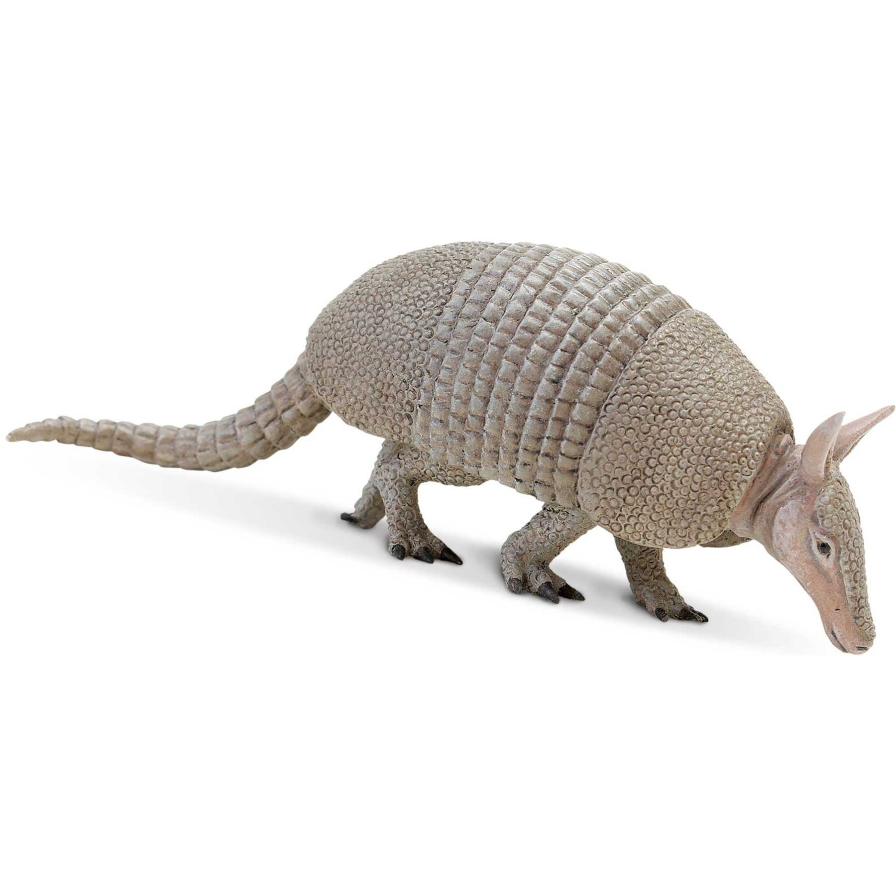 Safari Ltd. Armadillo