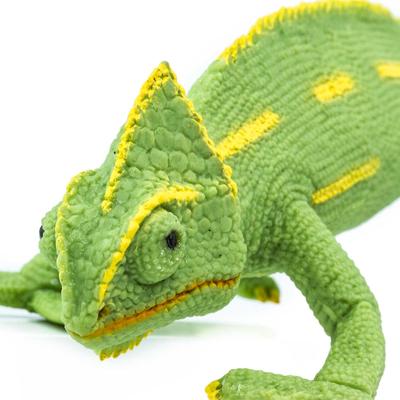 Show full view: Safari Ltd. Veiled Chameleon Baby Figurine slide 4 of 7