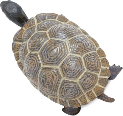 Show full view: Safari Ltd. Tortoise Baby Toy Figurine slide 4 of 6