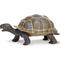 Show in main carousel: Safari Ltd. Tortoise Baby Toy Figurine slide 1 of 6