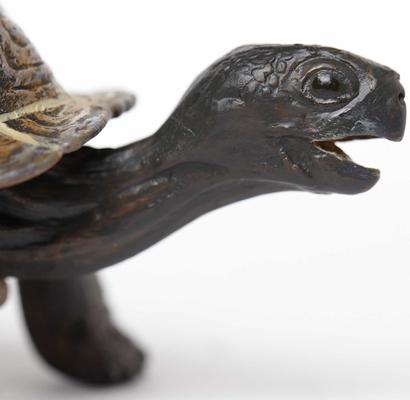 Show full view: Safari Ltd. Tortoise Baby Toy Figurine slide 2 of 6