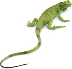 Safari Ltd. Iguana Baby