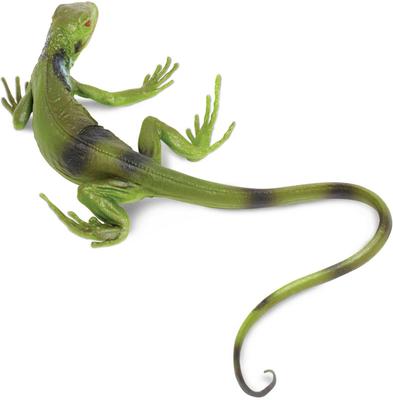 Show full view: Safari Ltd. Iguana Baby slide 3 of 6