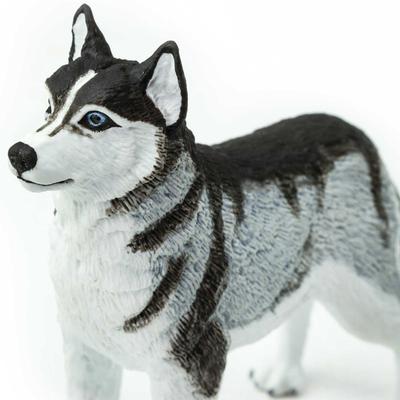 Show full view: Safari Ltd. Siberian Husky slide 2 of 6