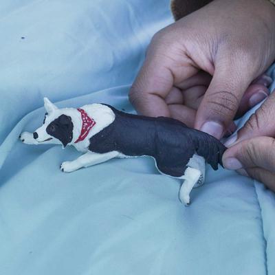 Show full view: Safari Ltd. Border Collie Figurine slide 5 of 6