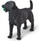 Show in main carousel: Safari Ltd. Black Labrador slide 4 of 8