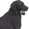 Show in main carousel: Safari Ltd. Black Labrador slide 5 of 8