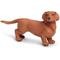 Show in main carousel: Safari Ltd. Dachshund slide 1 of 6