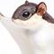 Show in main carousel: Safari Ltd. Flying Squirrel slide 3 of 6