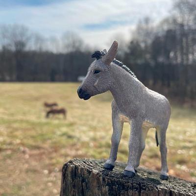 Show full view: Safari Ltd. Donkey Figurine slide 6 of 6