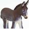 Show in main carousel: Safari Ltd. Donkey Foal Figurine slide 4 of 6