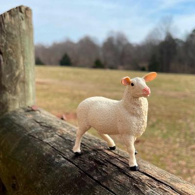 Show full view: Safari Ltd. Ewe Figurine slide 6 of 6