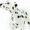 Show in main carousel: Safari Ltd. Dalmatian Toy Figurine slide 4 of 6