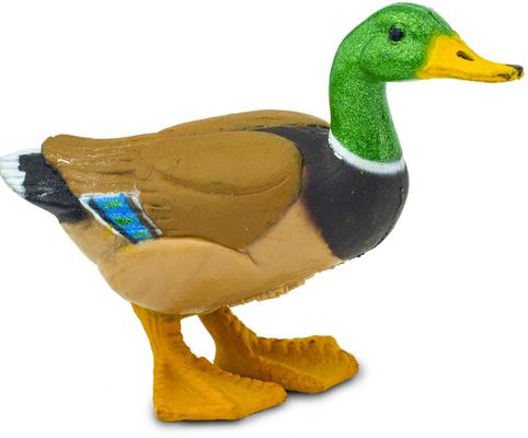 Show full view: Safari Ltd. Duck slide 3 of 6