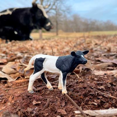 Show full view: Safari Ltd. Holstein Calf slide 5 of 6