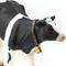 Show in main carousel: Safari Ltd. Holstein Cow slide 4 of 6