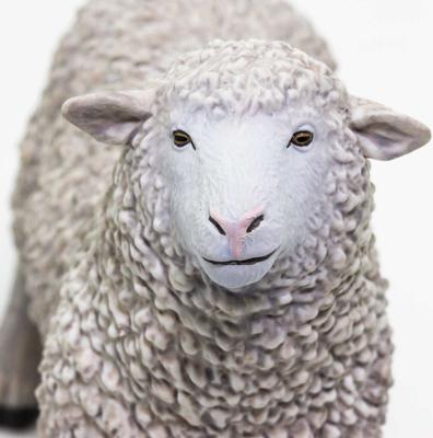 Show full view: Safari Ltd. Sheep Figurine slide 5 of 7