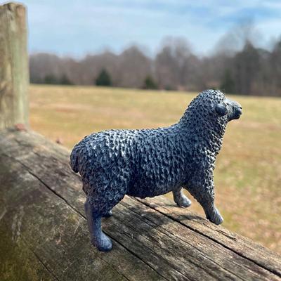 Show full view: Safari Ltd. Black Sheep Figurine slide 6 of 7