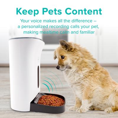 Show full view: Arf Pets Automatic Dog & Cat Feeder, White, 18-cup slide 3 of 11