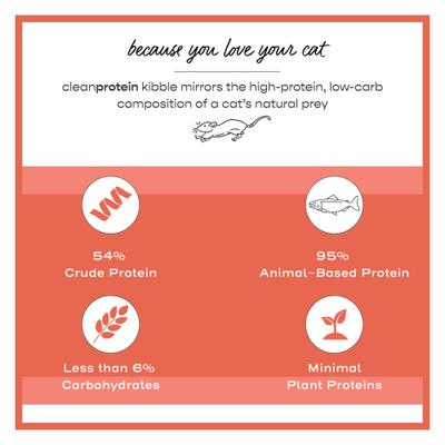 Show full view: Dr. Elsey's cleanprotein Salmon Kibble Cat Dry Food, 2.0-lb bag slide 5 of 12