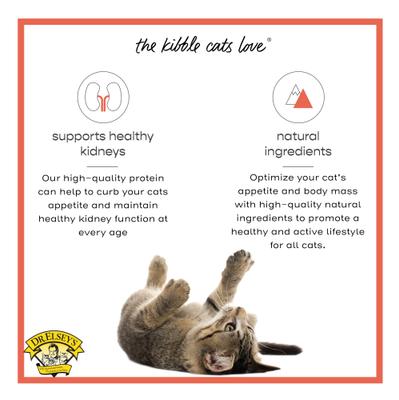 Show full view: Dr. Elsey's cleanprotein Salmon Kibble Cat Dry Food, 2.0-lb bag slide 6 of 12