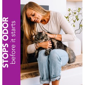 Okocat Mini Pellets Unscented Clumping Wood Cat Litter, 21.5-lb bag