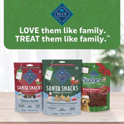 Blue Buffalo Christmas Santa Snacks Crunchy Dog Biscuits, Natural Holiday Treats, Baked with Oatmeal & Cinnamon Recipe, 11-oz bag slide 2 of 9