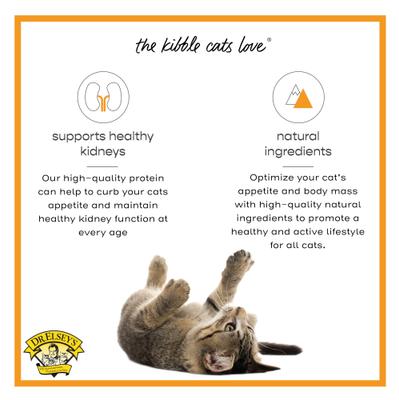 Show full view: Dr. Elsey's cleanprotein Protein Bites Turkey Crunchy Cat Treats, 6-oz bag slide 5 of 9