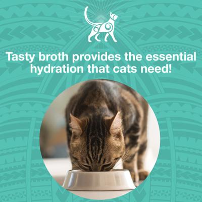 Show full view: KOHA Pure Shreds Duck Entrée Grain-Free Wet Cat Food, 5.5-oz can, case of 12 slide 6 of 8