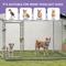 Show in main carousel: Wooflex Heavy Duty Outdoor Dog Kennel with Roof & Metal Gate, 10 x 10-ft slide 5 of 8