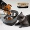 Show in main carousel: Supet One-piece Double Stainless Steel Dog Bowl, Grey slide 2 of 9