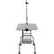 Show in main carousel: Cesicia Folding Dog & Cat Grooming Table, Silver Grey, 46-in slide 3 of 7