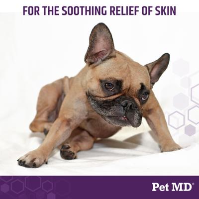 Show full view: Pet MD All-in-One Dog Derm Skin Care Treatment Spray, 8-oz bottle slide 2 of 6