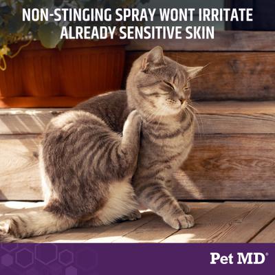 Show full view: Pet MD All-in-One Dog Derm Skin Care Treatment Spray, 8-oz bottle slide 4 of 6