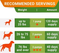 StrellaLab Liquid Glucosamine with Collagen Hip & Joint Supplement for Dogs, 16-fl oz bottle slide 2 of 7