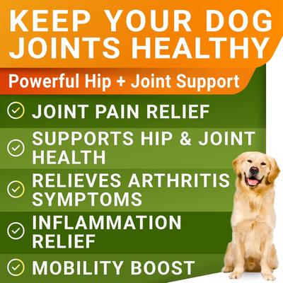 Show full view: StrellaLab Liquid Glucosamine with Collagen Hip & Joint Supplement for Dogs, 16-fl oz bottle slide 3 of 9