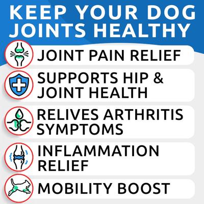 Show full view: Bark&Spark Liquid Glucosamine + Collagen Hip & Joint Supplement for Dogs, 16-fl oz bottle slide 3 of 10