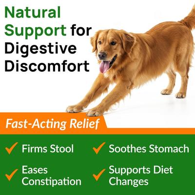 Show full view: PawfectChew Pumpkin Powder Fiber Supplement for Dogs, 8-oz jar slide 6 of 9