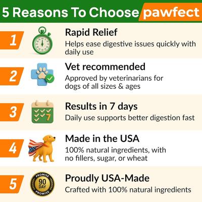 Show full view: PawfectChew Pumpkin Powder Fiber Supplement for Dogs, 8-oz jar slide 5 of 9