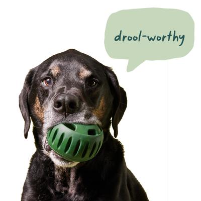 Show full view: Woof Pupsicle Pops Refills Chicken & Peanut Butter Grain-Free Lickable Dog Treats, X-Large, 10 count slide 6 of 8