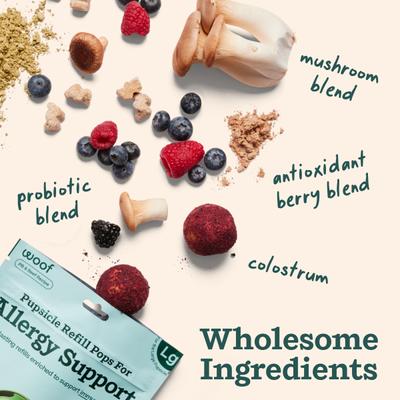 Show full view: Woof Pupsicle Allergy & Immunity Pop Refills Beef Grain-Free Lickable Dog Treats, Small, 20 count slide 5 of 8