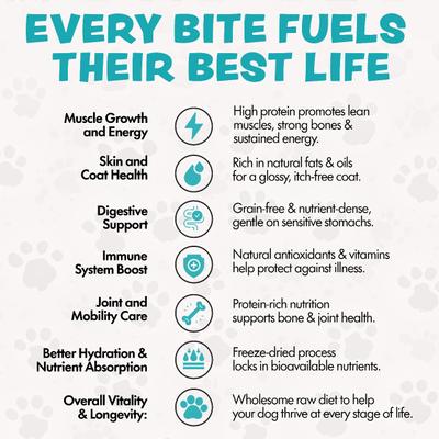 Show full view: Sprankles Beef Recipe Freeze-Dried Raw Dog Food, 8-oz bag slide 10 of 11